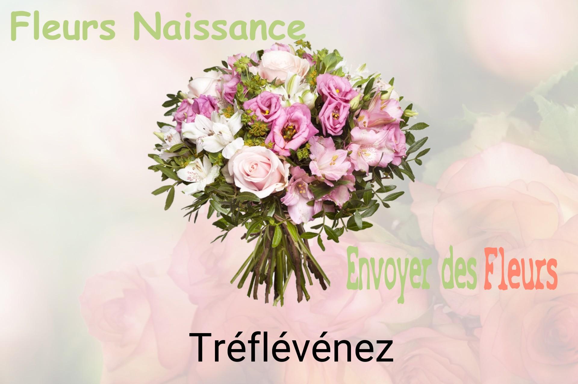 Bouquet de fleurs de naissance livré à Tréflévénez