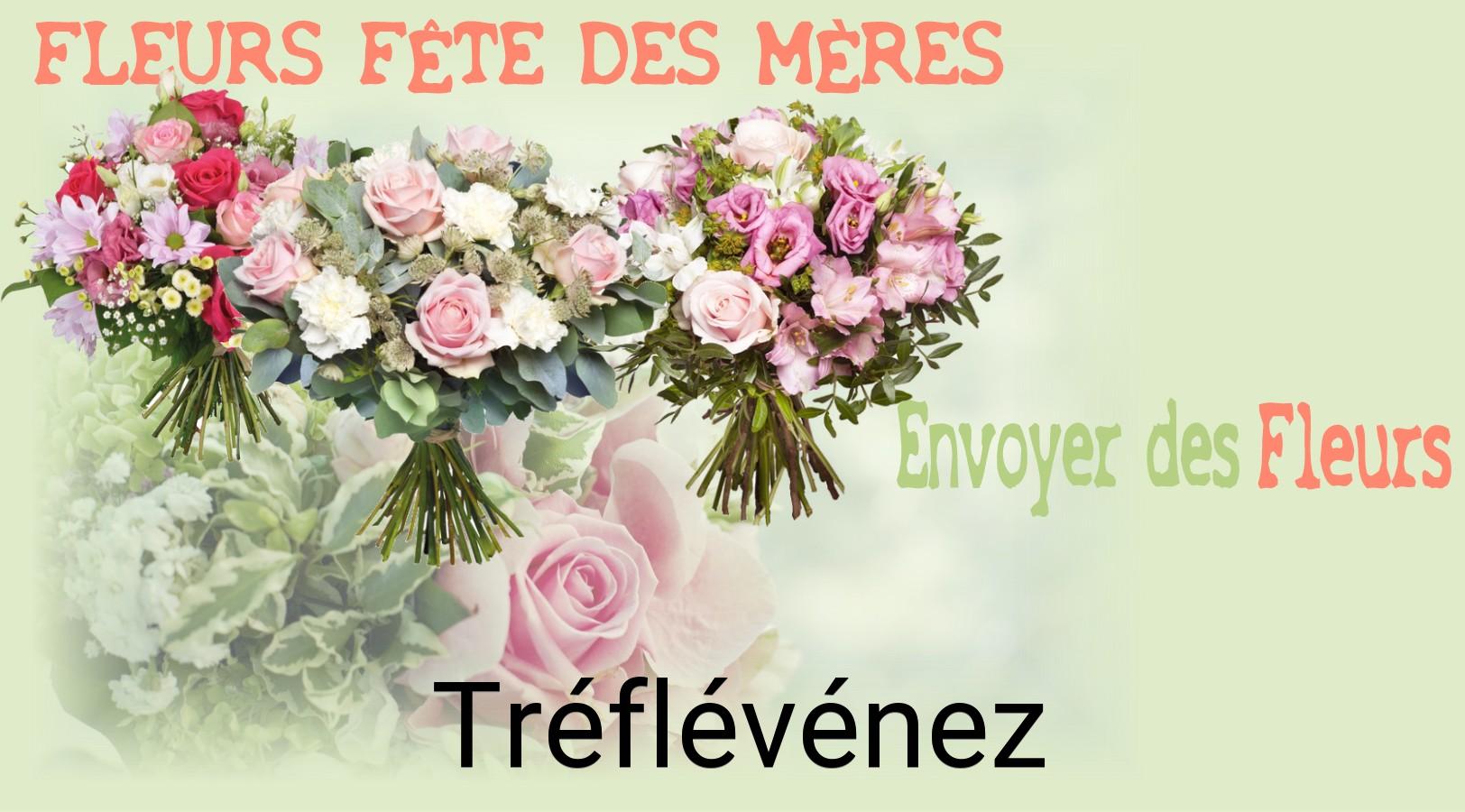 Bouquet de Fête des Mères livré à Tréflévénez